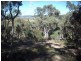 Cullen Bullen NSW 2790