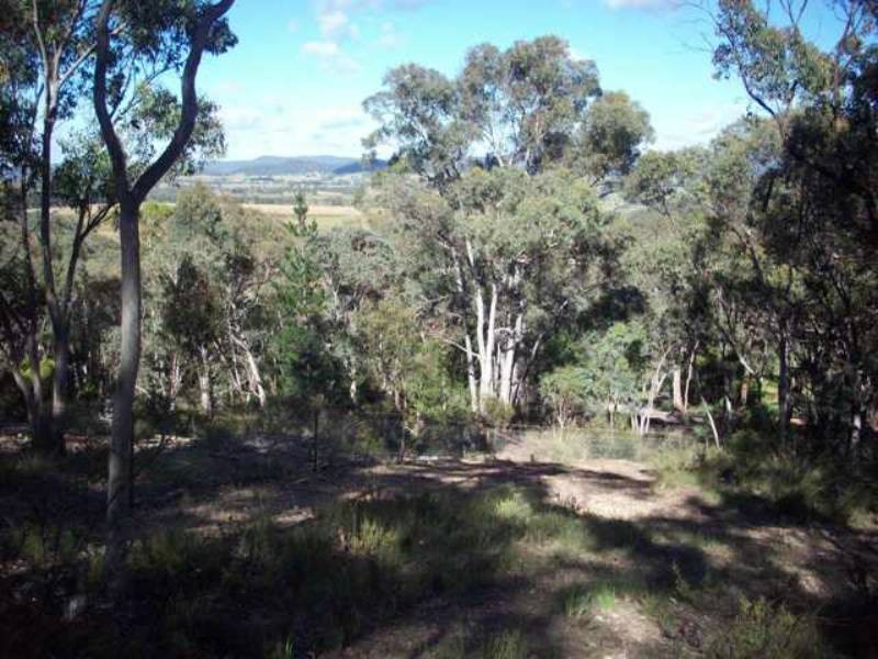 Cullen Bullen NSW 2790