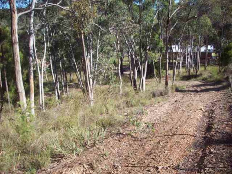 Cullen Bullen NSW 2790