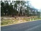 42 Borrowpit Road, Meadow Flat NSW 2795