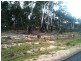 42 Borrowpit Road, Meadow Flat NSW 2795