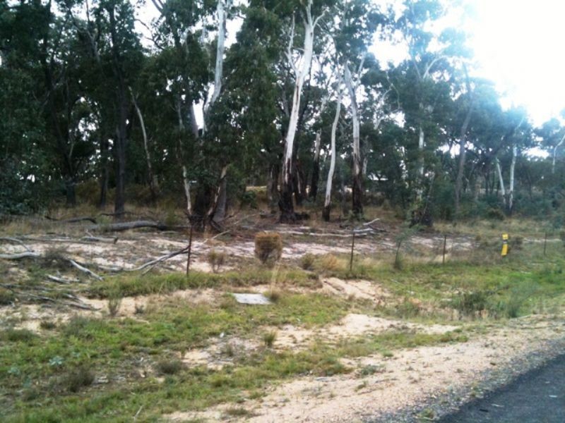 42 Borrowpit Road, Meadow Flat NSW 2795