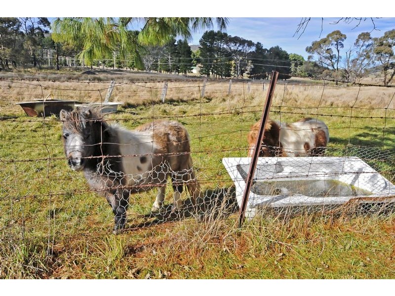 Marrangaroo NSW 2790
