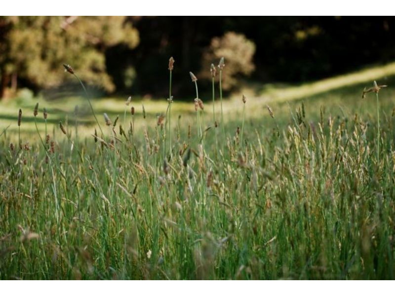 26 Munbinga Drive, Lithgow NSW 2790