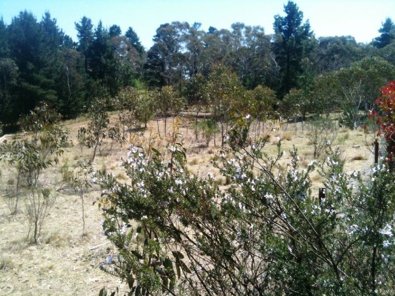Rydal NSW 2790