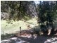 19 Berry Street, Lithgow NSW 2790