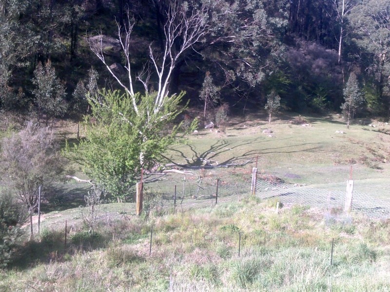 19 Berry Street, Lithgow NSW 2790