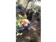 Lithgow NSW 2790