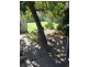 Cullen Bullen NSW 2790
