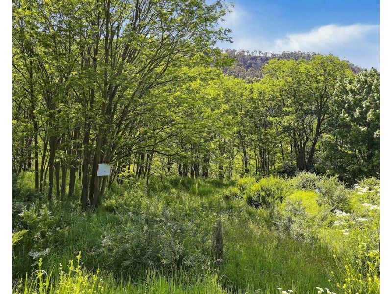 101 Macauley Street, Lithgow NSW 2790