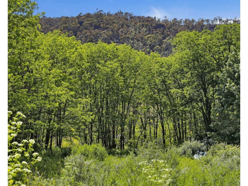 101 Macauley Street, Lithgow NSW 2790