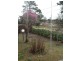 31 Cripps Avenue, Wallerawang NSW 2845
