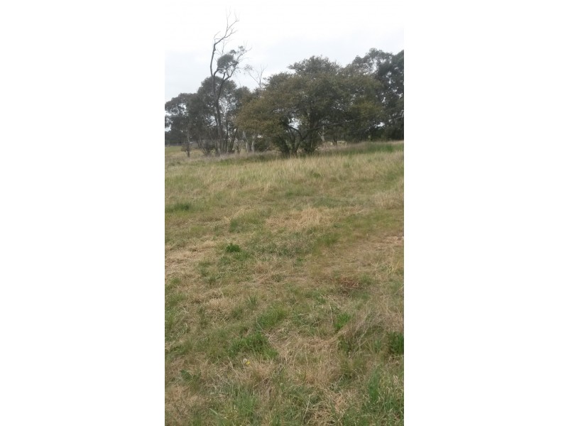 238 LIMESTONE CREEK, Portland NSW 2847