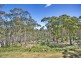 Clarence NSW 2790