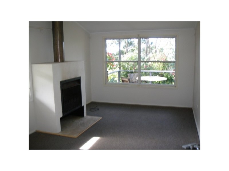 113 Morrison Avenue, Wombarra NSW 2515