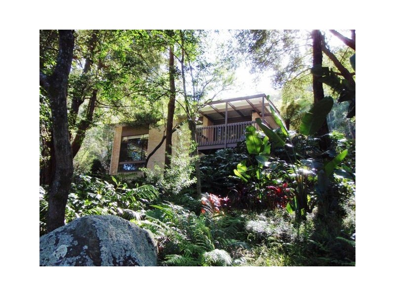 8  Old Coast Road, Stanwell Park NSW 2508