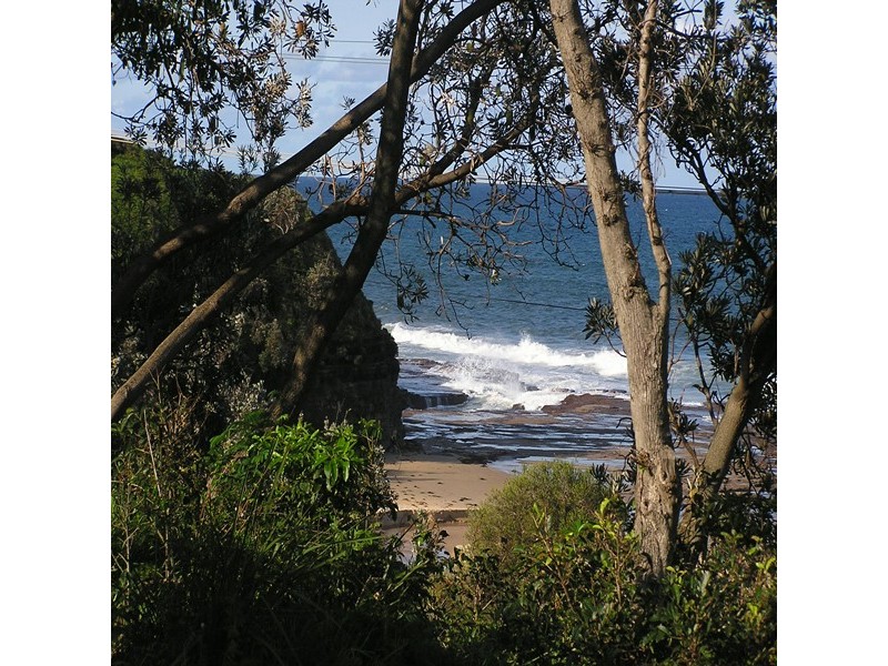 10a Hemsley Place, Coledale NSW 2515