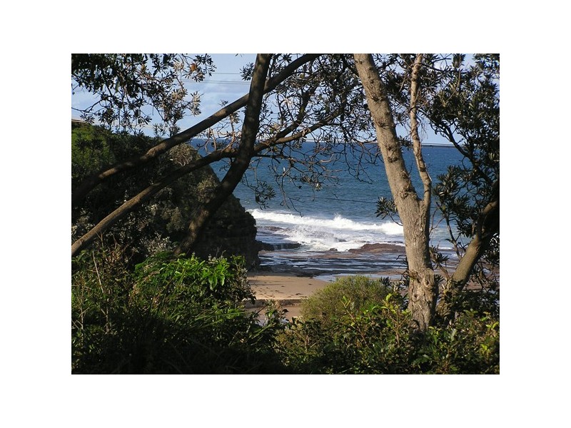 10a Hemsley Place, Coledale NSW 2515