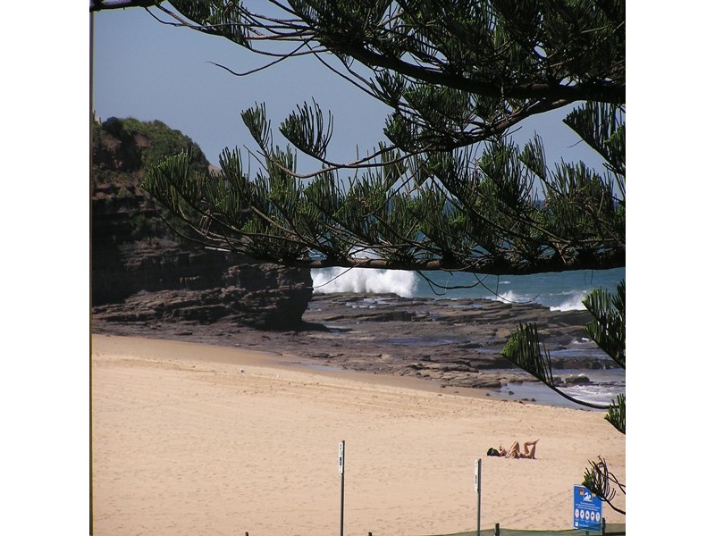 17 The Grove, Austinmer NSW 2515