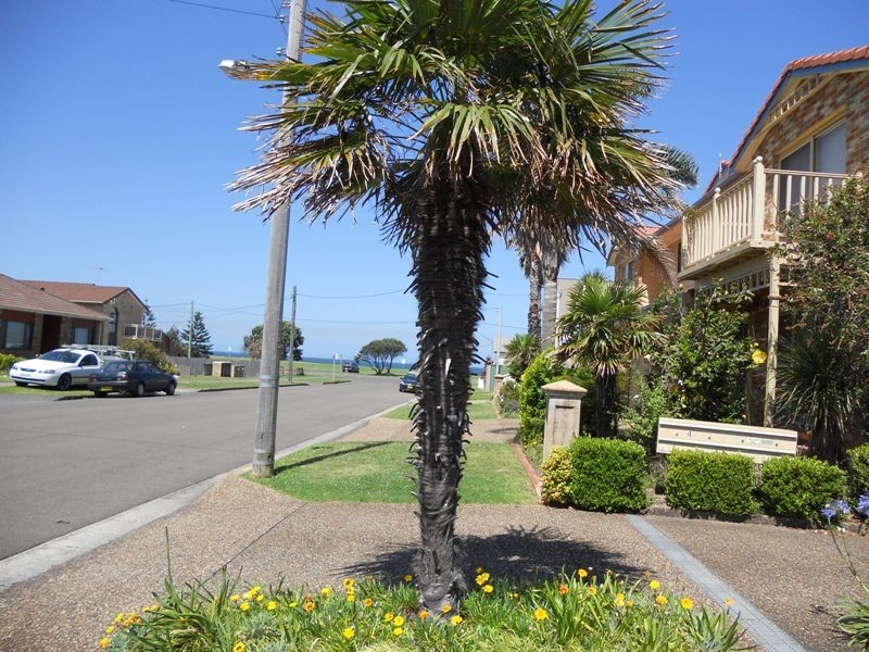 Thirroul NSW 2515