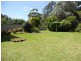 4 Elanora Pl, Coledale NSW 2515