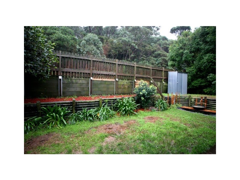 Coledale NSW 2515