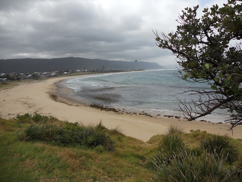 41 Hutton Ave, Bulli NSW 2516