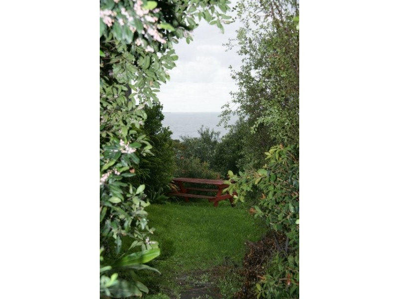 445 Lawrence Hargrave Drive, Scarborough NSW 2515