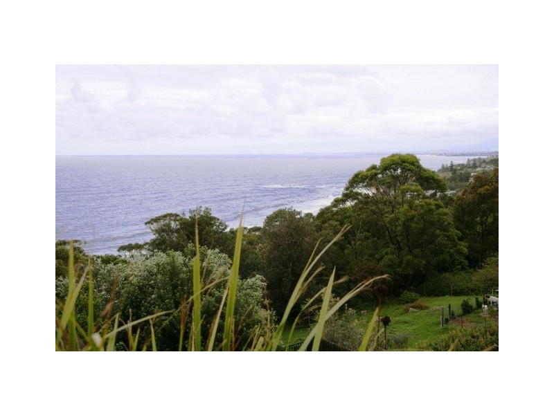 445 Lawrence Hargrave Drive, Scarborough NSW 2515