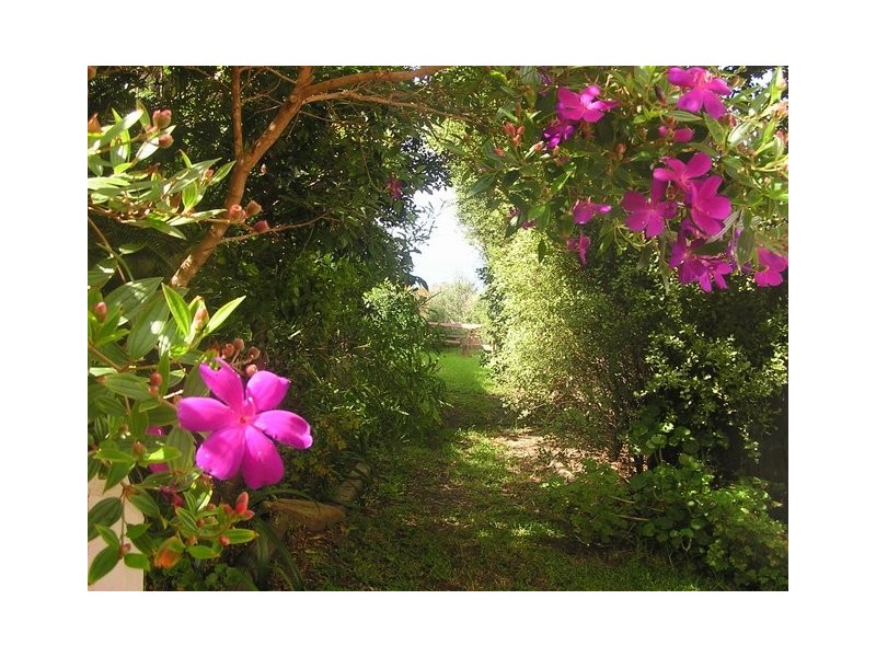 445 Lawrence Hargrave Drive, Scarborough NSW 2515