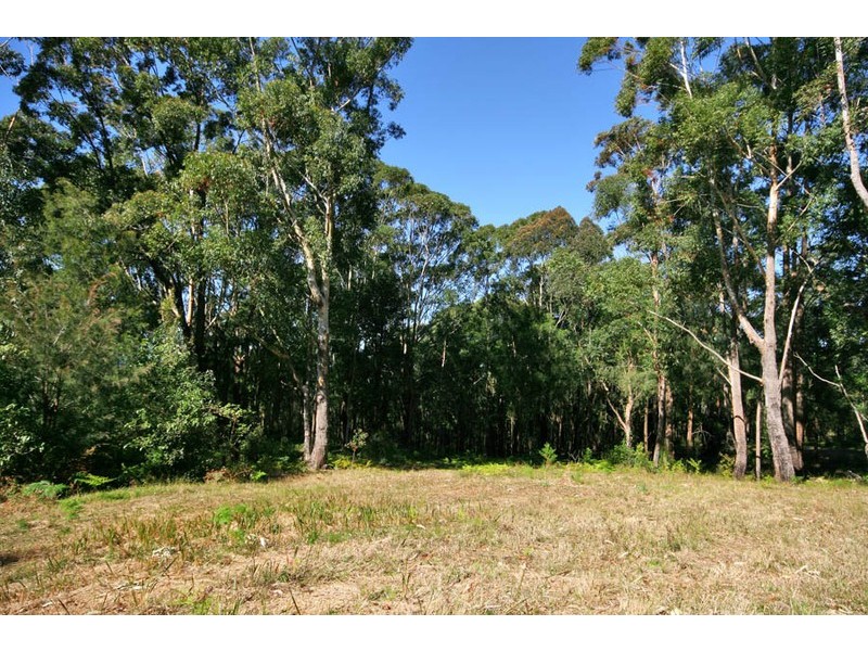 69 Buttenshaw Drive, Austinmer NSW 2515