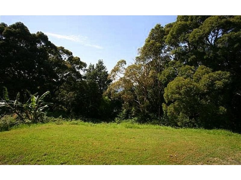 1 Cokeworks Road, Coledale NSW 2515