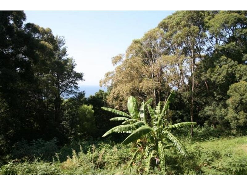 1 Cokeworks Road, Coledale NSW 2515