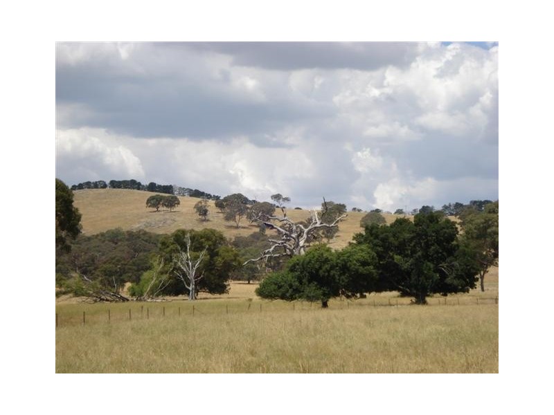 Blayney NSW 2799
