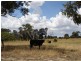 Blayney NSW 2799
