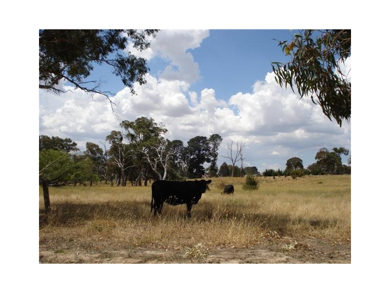 Blayney NSW 2799