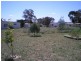 Lyndhurst NSW 2797