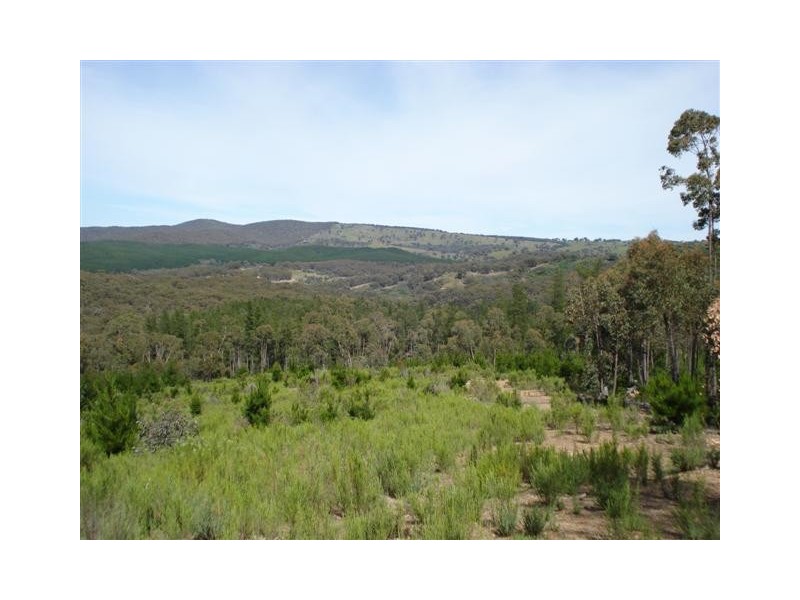 Lot 12 Kentucky Road, Neville NSW 2799