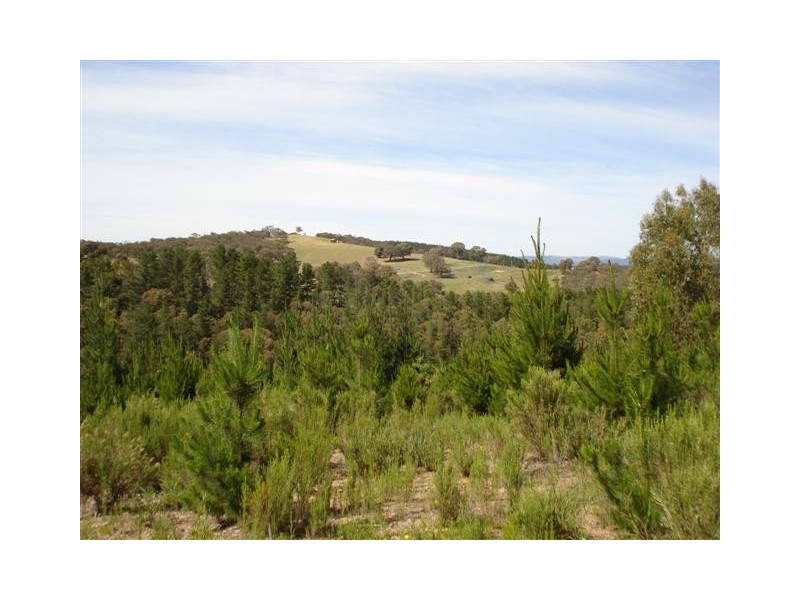 Lot 12 Kentucky Road, Neville NSW 2799