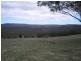 Lot 3 Kentucky Road, Neville NSW 2799