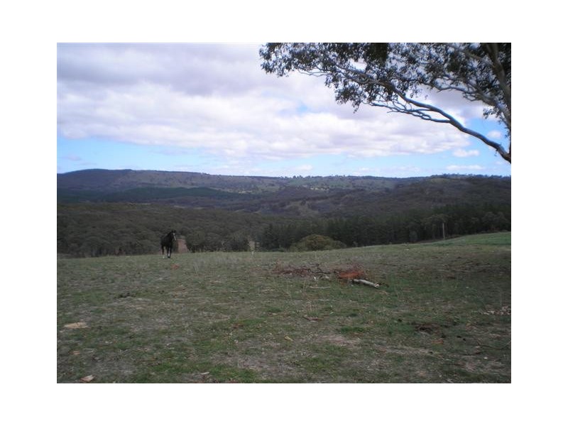 Lot 3 Kentucky Road, Neville NSW 2799
