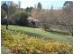 14 Polona Street, Blayney NSW 2799