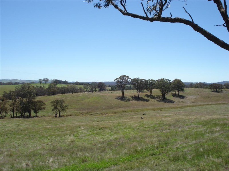 1694 Carcoar Road, Carcoar NSW 2791