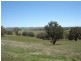 1694 Carcoar Road, Carcoar NSW 2791
