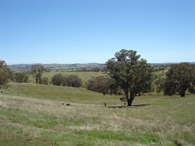 1694 Carcoar Road, Carcoar NSW 2791