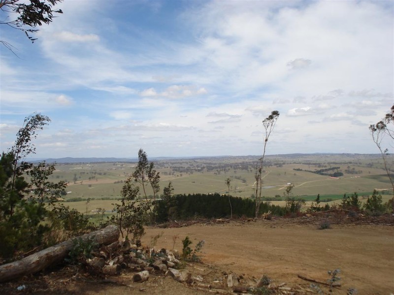 82 Kellys Road, Blayney NSW 2799