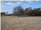 55  Carcoar Street, Neville NSW 2799