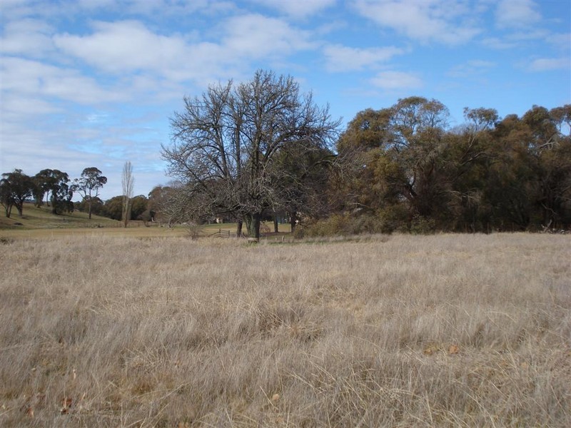 55  Carcoar Street, Neville NSW 2799