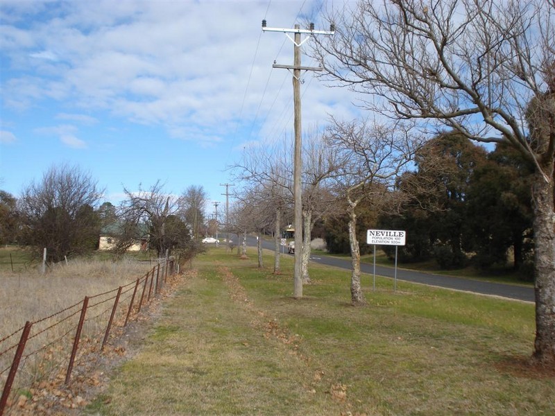 55  Carcoar Street, Neville NSW 2799