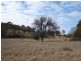 55  Carcoar Street, Neville NSW 2799